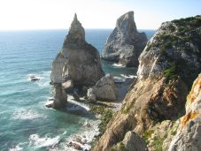 bear_beach_2